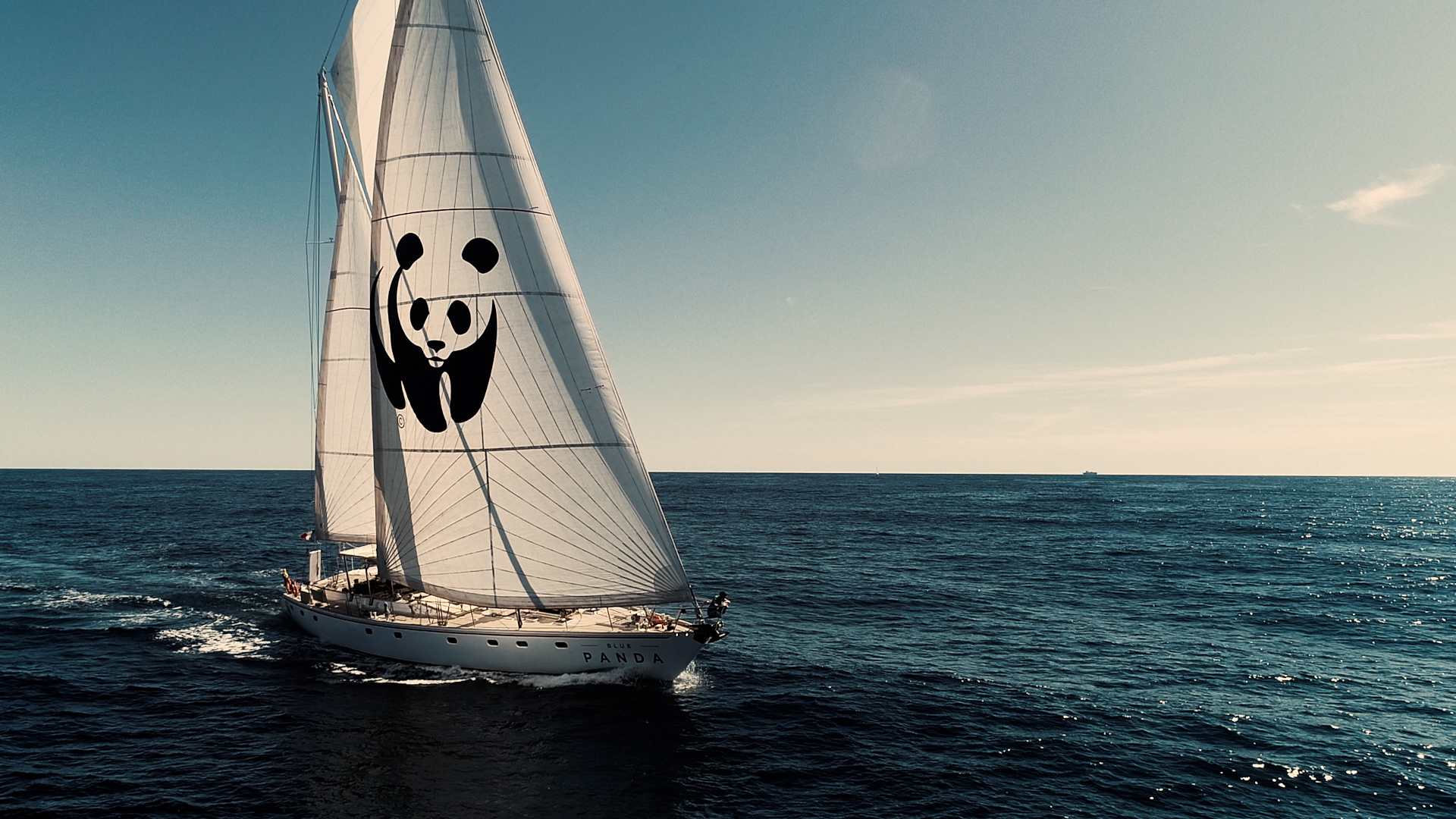 Vue du blue Panda en pleine mer
